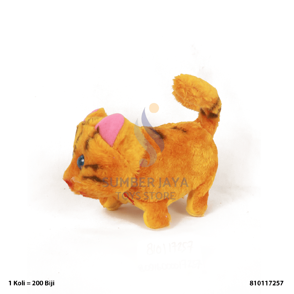 KUCING B/O 17257