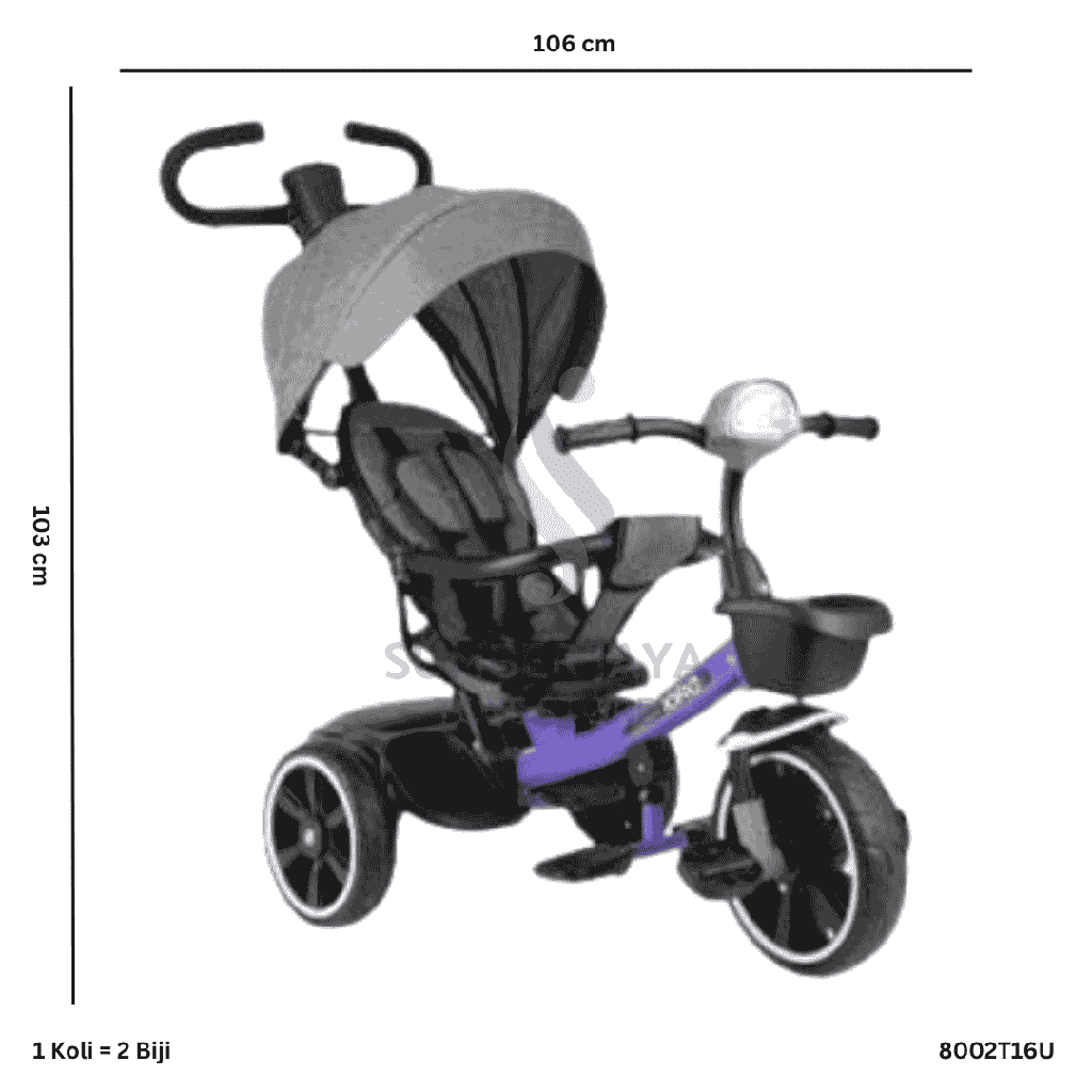 TRICYCLE IORA T16 UNGU