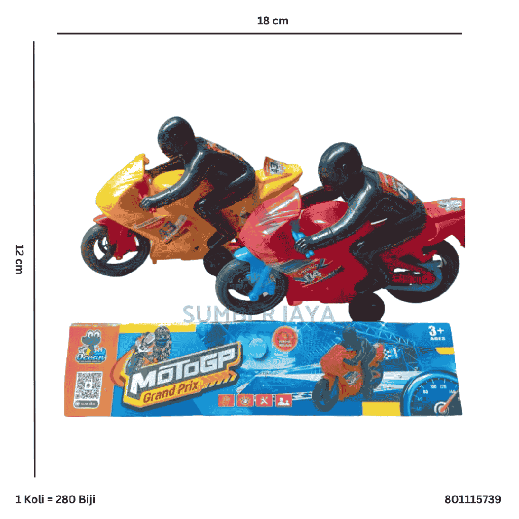 MOTOGP GRAND PRIX 5739