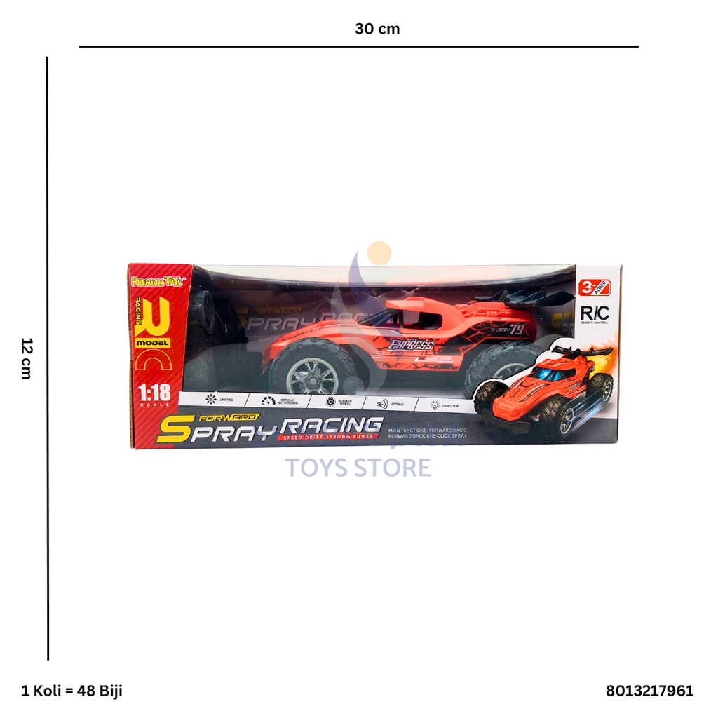 R/C SPRAY RACING 17961