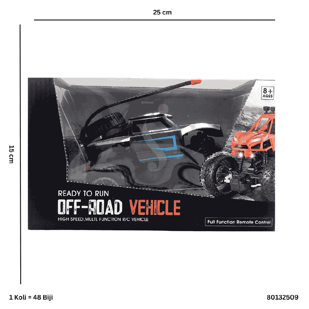 R/C OFF ROAD VEHICLE DT509