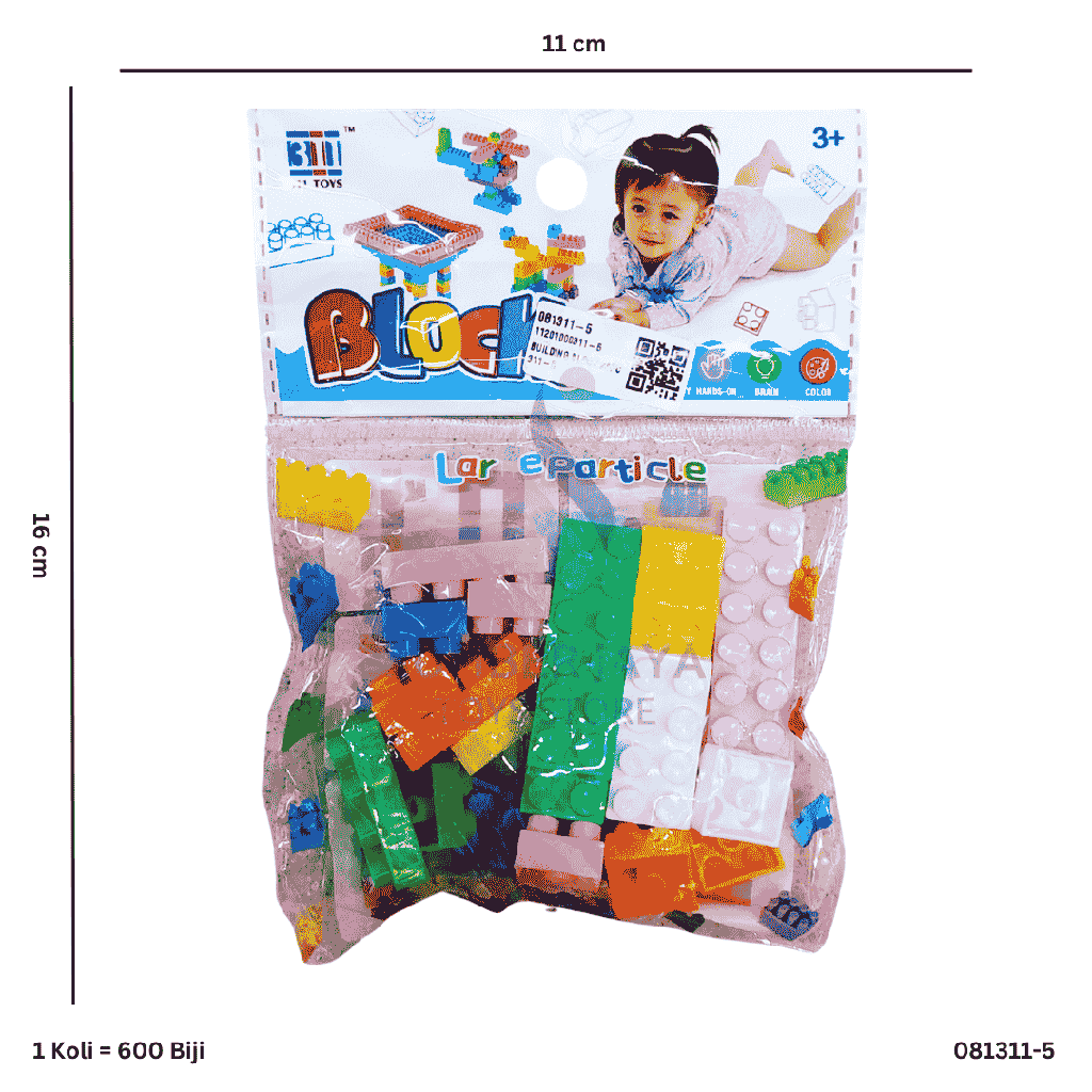 BUILDING BLOCK 24PC 311-5