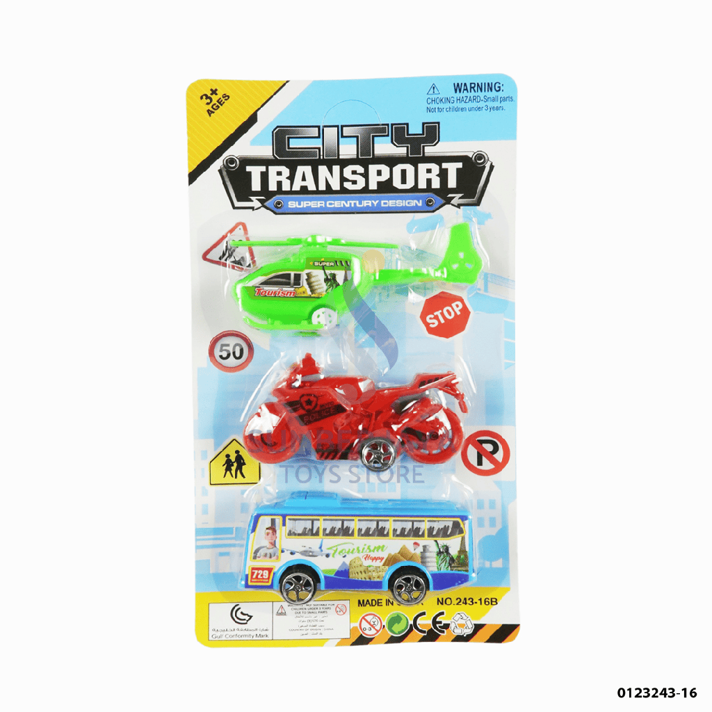 CITY TRANSPORT POLICE 243-16