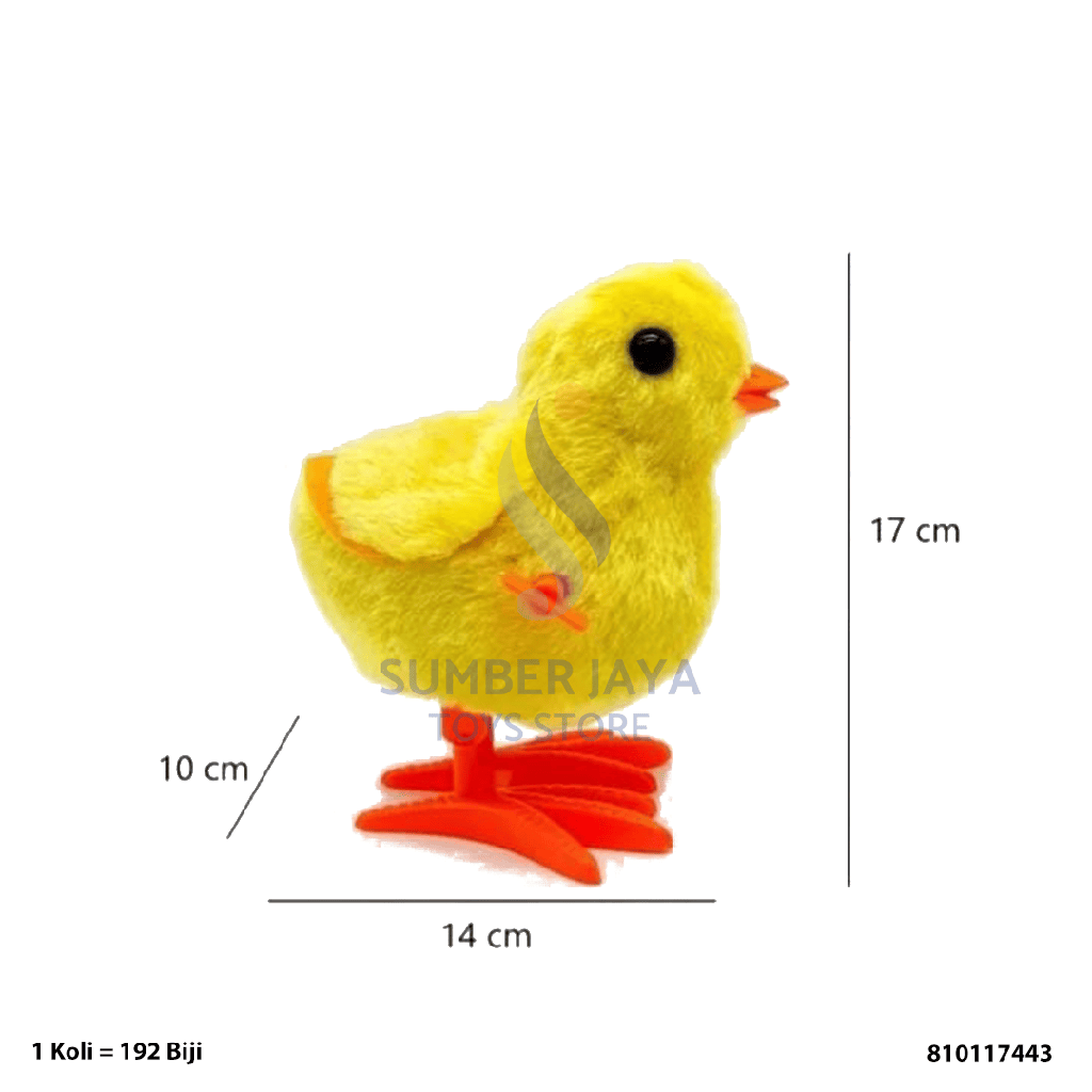 AYAM BULU B KTG 17443