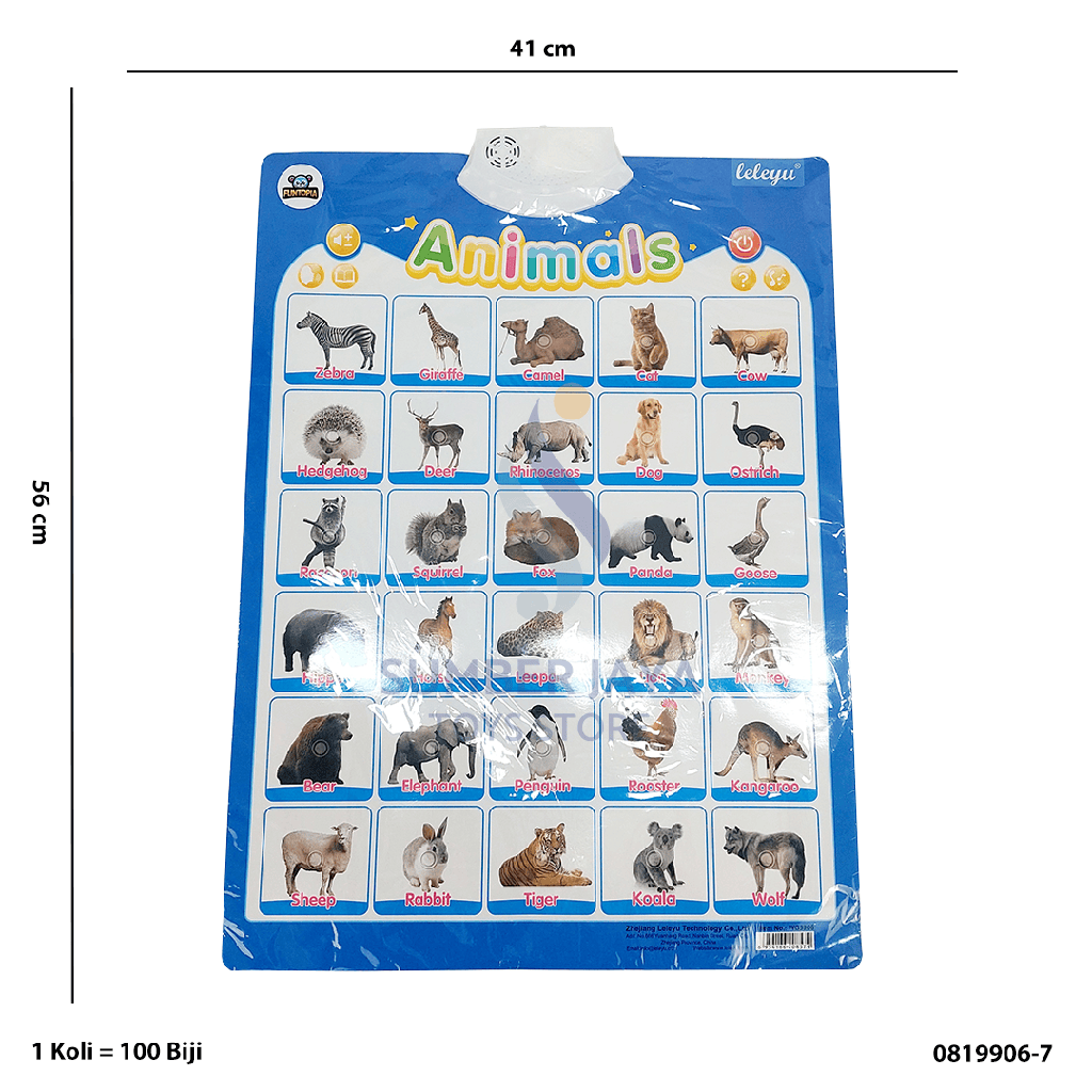 AUDIO WALL CHART ENGLISH 9906-7
