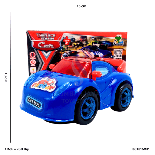 [801315031] THERACE TO WIN CAR 5031